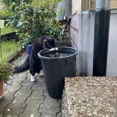 Thecrossing Bed & Breakfast