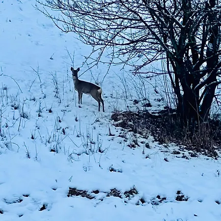 Thecrossing Bed & Breakfast 3*